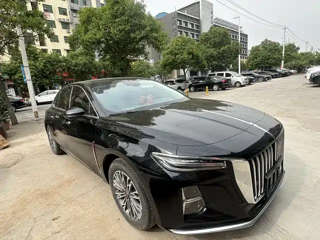 Hongqi H5 2025 1.5T DCT Flag Rhythm 500,000 Units Memorial Edition — фото 3