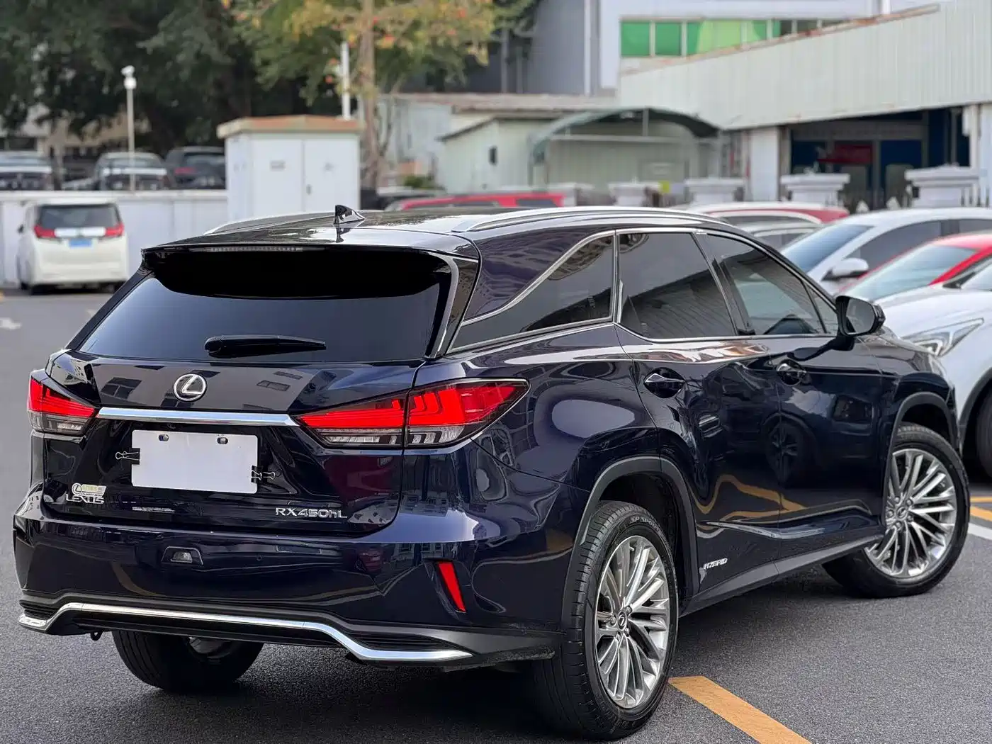LEXUS RX