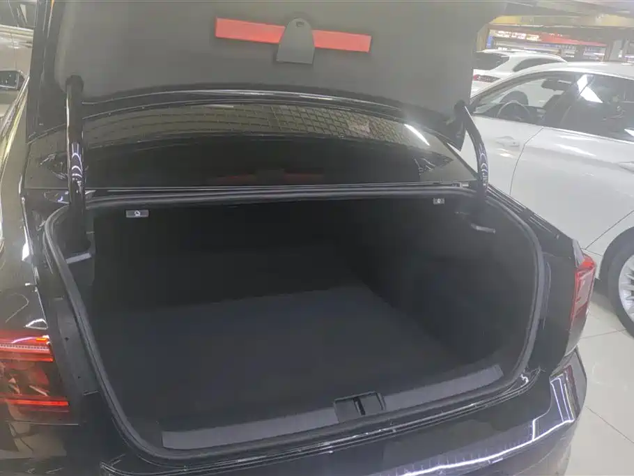 Volkswagen Magotan 2020 330TSI DSG Luxury фото 4