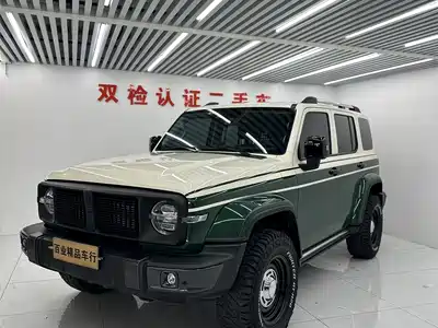 Tank 300