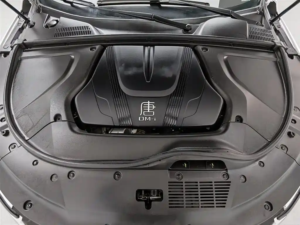 BYD Tang New Energy 2023 Model DM-i Champion Edition 112KM Premium фото 6