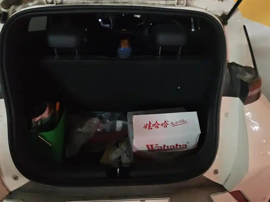 BYD Seagull 2024 Glory Edition 305km Freedom Edition фото 4