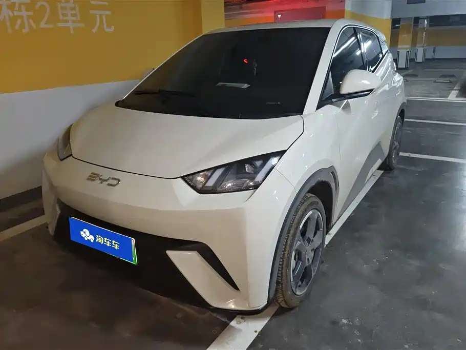 BYD Seagull 2024 Glory Edition 305km Freedom Edition