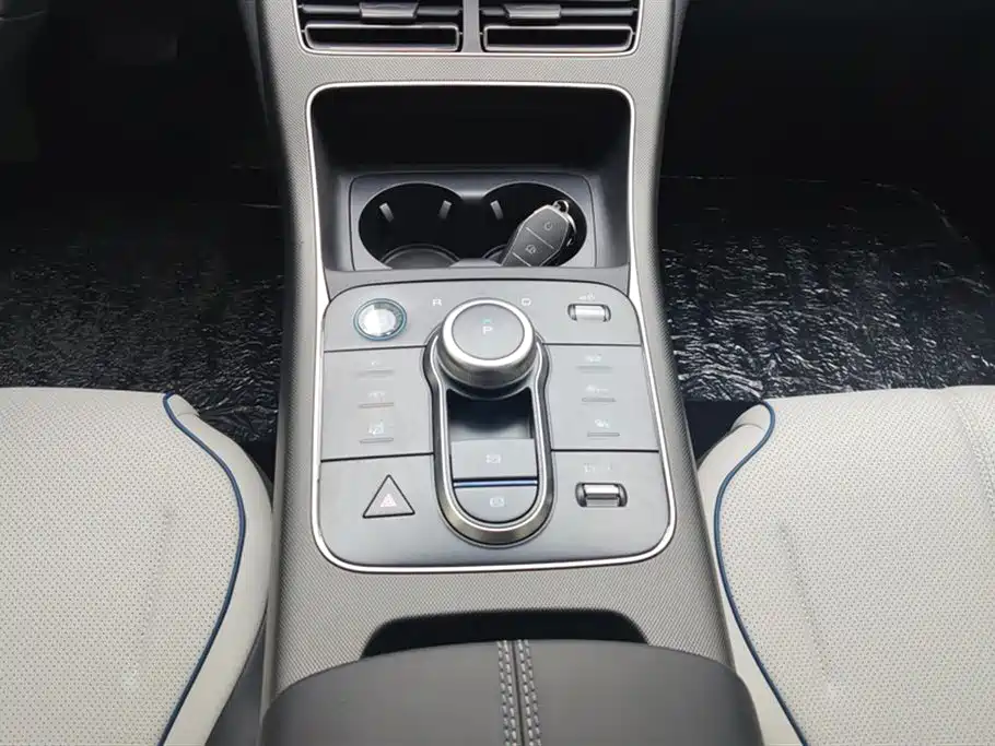 BYD Destroyer 05 2024 Glory Edition DM-i 55KM Luxury фото 16