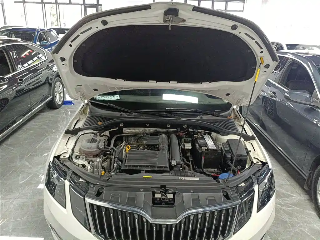 Škoda Octavia 2019 TSI230 DSG Smart Luxury Edition China V фото 19