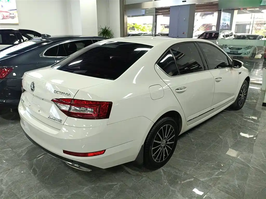 Škoda Octavia 2019 TSI230 DSG Smart Luxury Edition China V фото 7