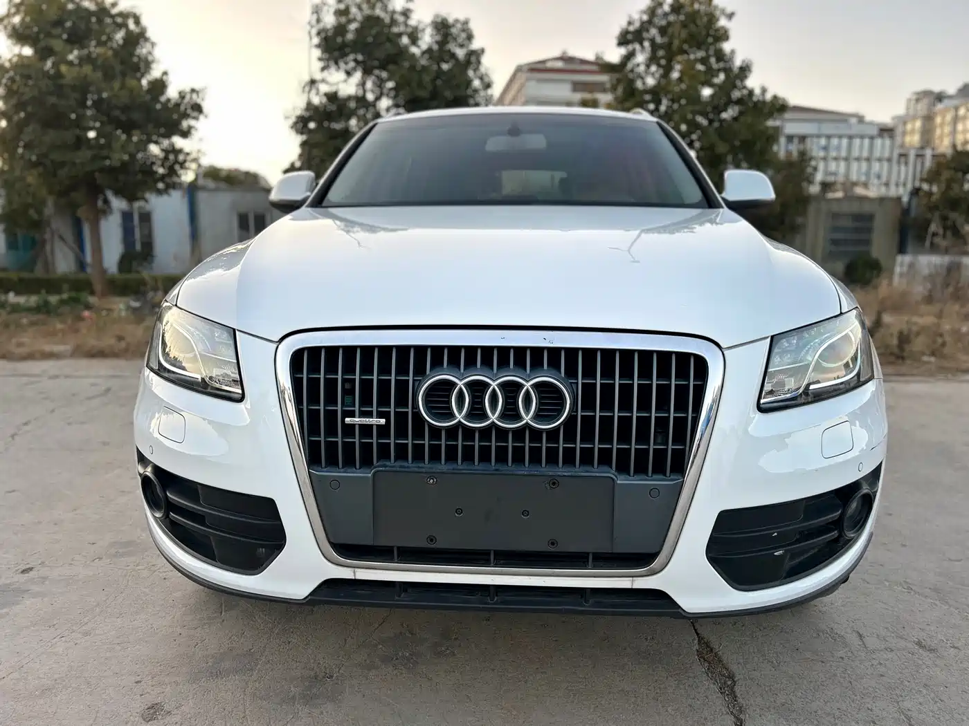 Audi Q5 2010 2.0TFSI Progressive фото 2