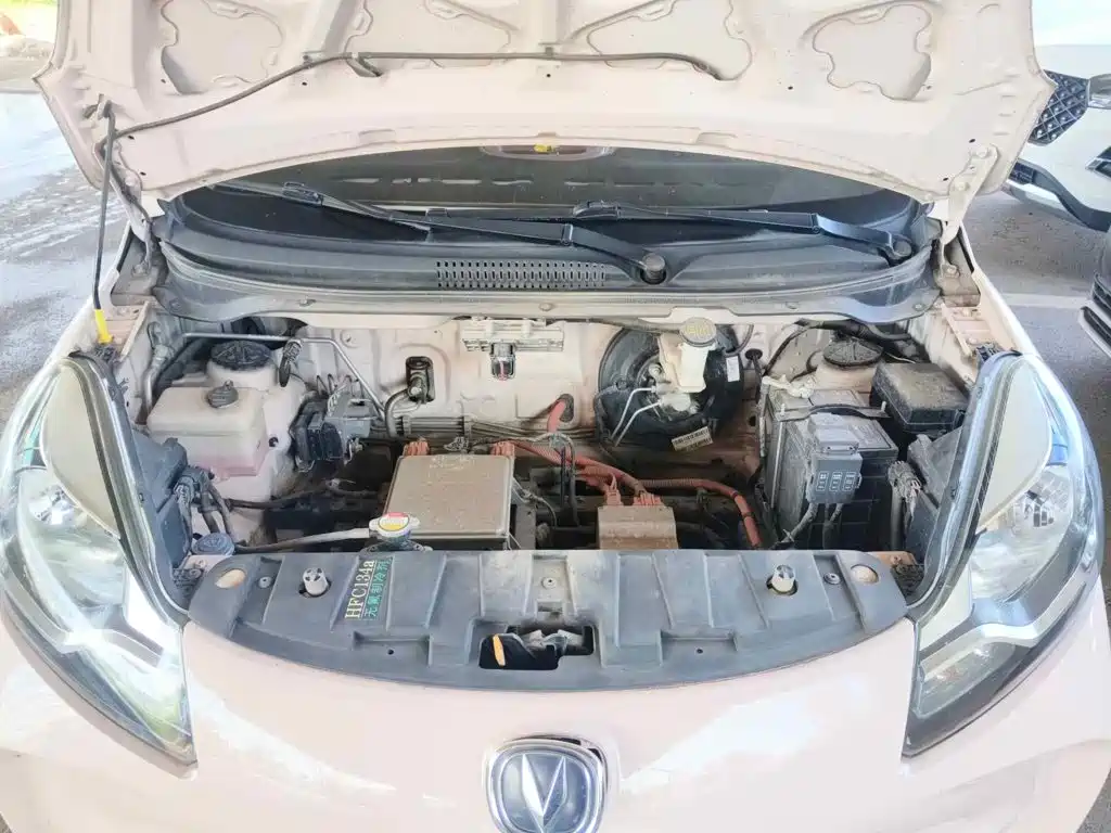 Changan Benben E-Star 2022 2021 National Edition Colorful Version LFP (31.86kWh)
