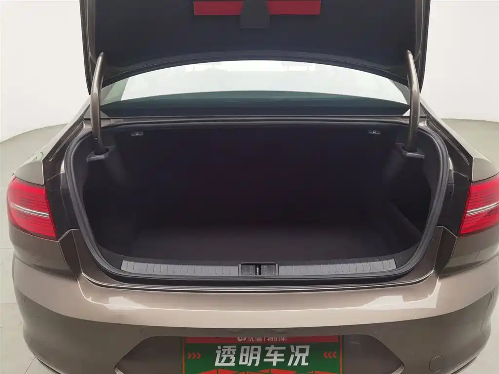 Volkswagen Magotan 2018 330TSI DSG Luxury фото 16