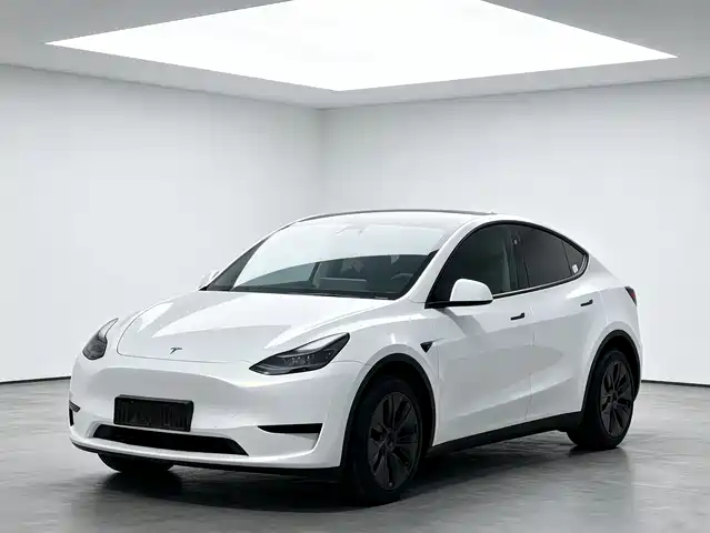 Tesla Model Y 2024 Rear-Wheel Drive Version