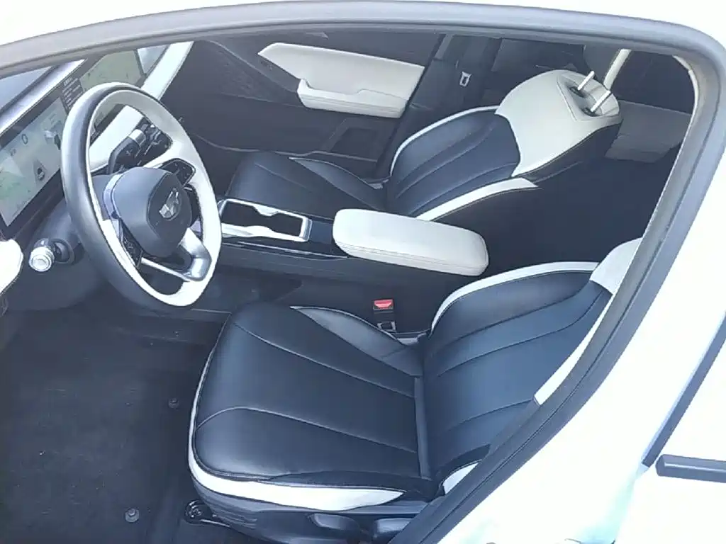 Geely Geometry E Firefly 2025 2024 Model 401km Fluorescent