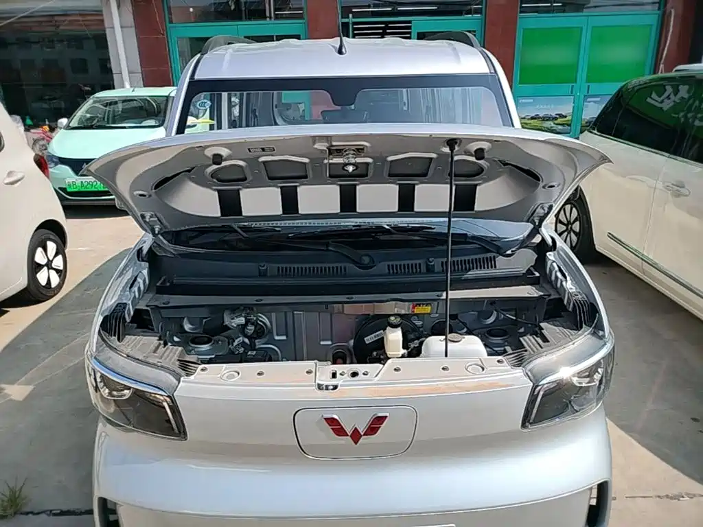 Wuling Motors Wuling Zhiguang NEV 2026 2025 Model Comfort