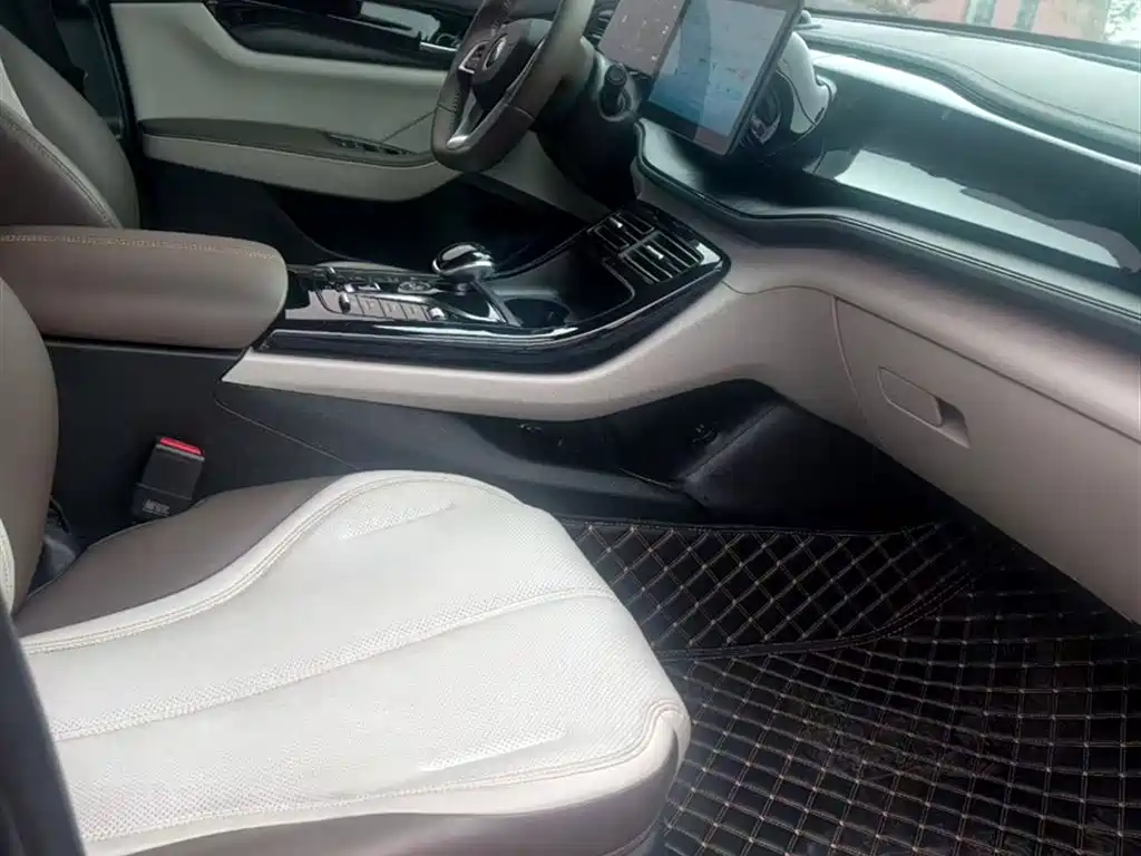 BYD Qin PLUS 2024 Glory Edition DM-i 55KM Leading фото 20