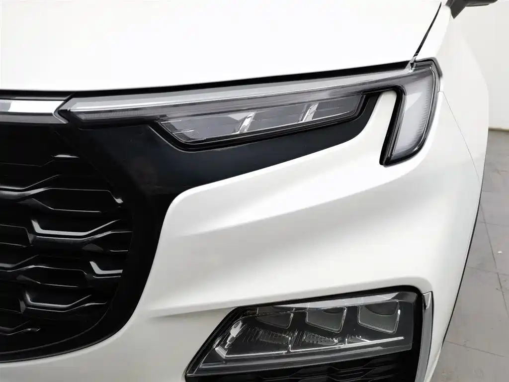 FORD LINGYU