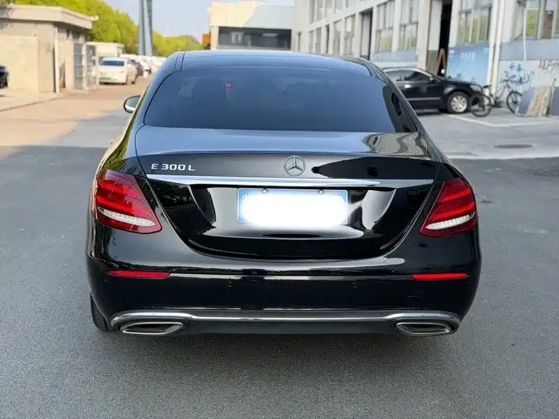 Mercedes-Benz E-Class 2018 E 300 L Luxury фото 10