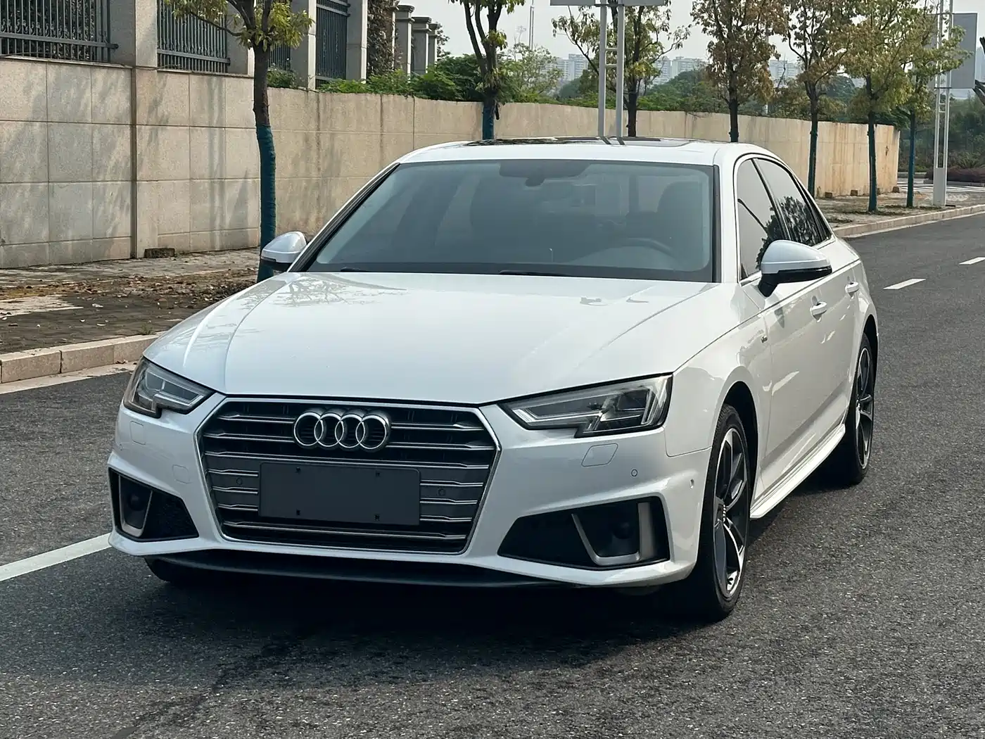 Audi A4L 2019 40 TFSI Fashion (China V)