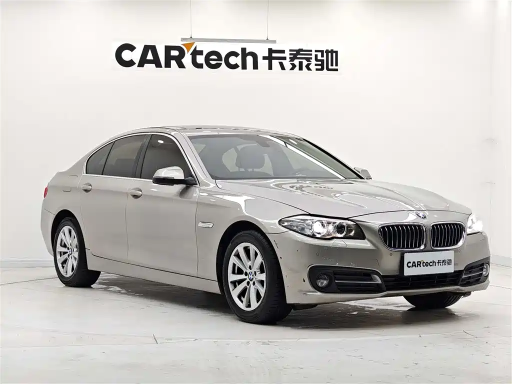 BMW 5 Series (Import) 2015 520i Elegance фото 10