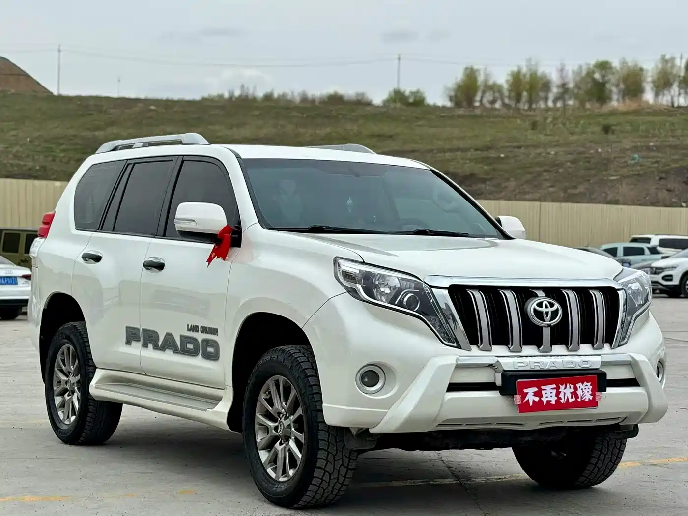 Toyota Prado (Import) 2010 2.7L Auto Luxury фото 3