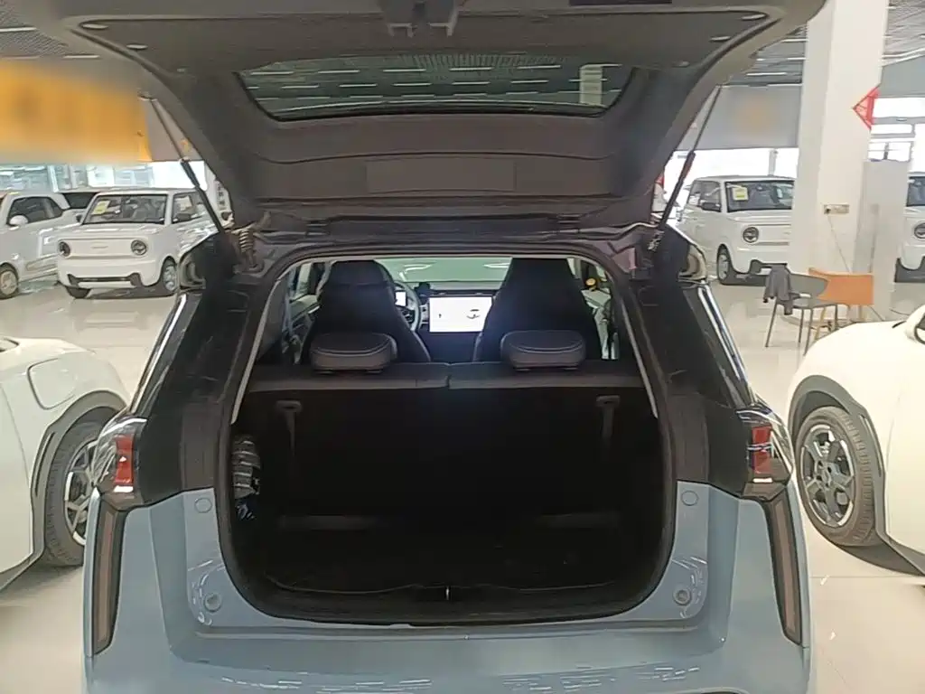 Chery New Energy Chery Wujie Pro 2023 2022 301km Mythical Beast Edition LFP
