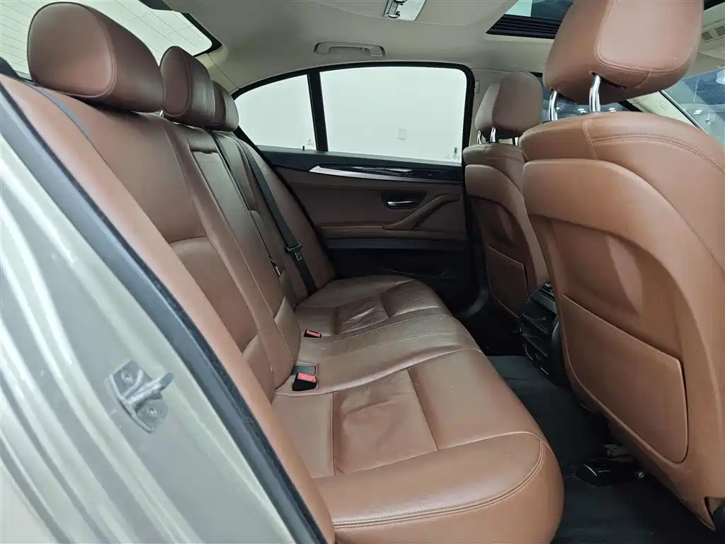 BMW 5 Series (Import) 2015 520i Elegance фото 19