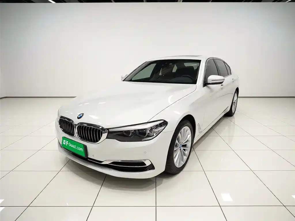 BMW 5 Series 2019 525Li Luxury Package фото 2
