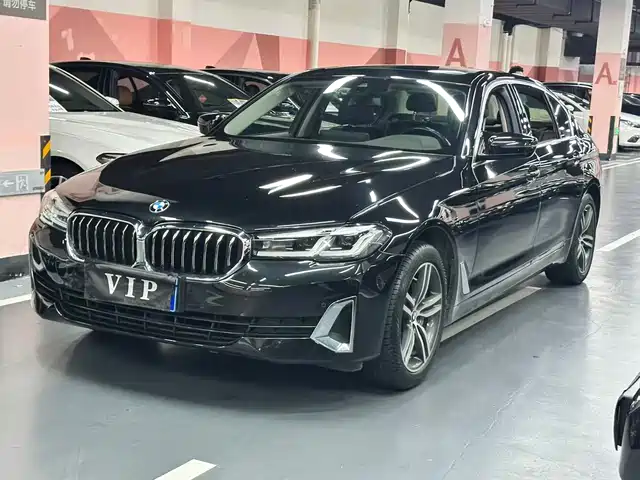 BMW 5 Рестайлинг, 530Li, Лидер, Люкс-пакет