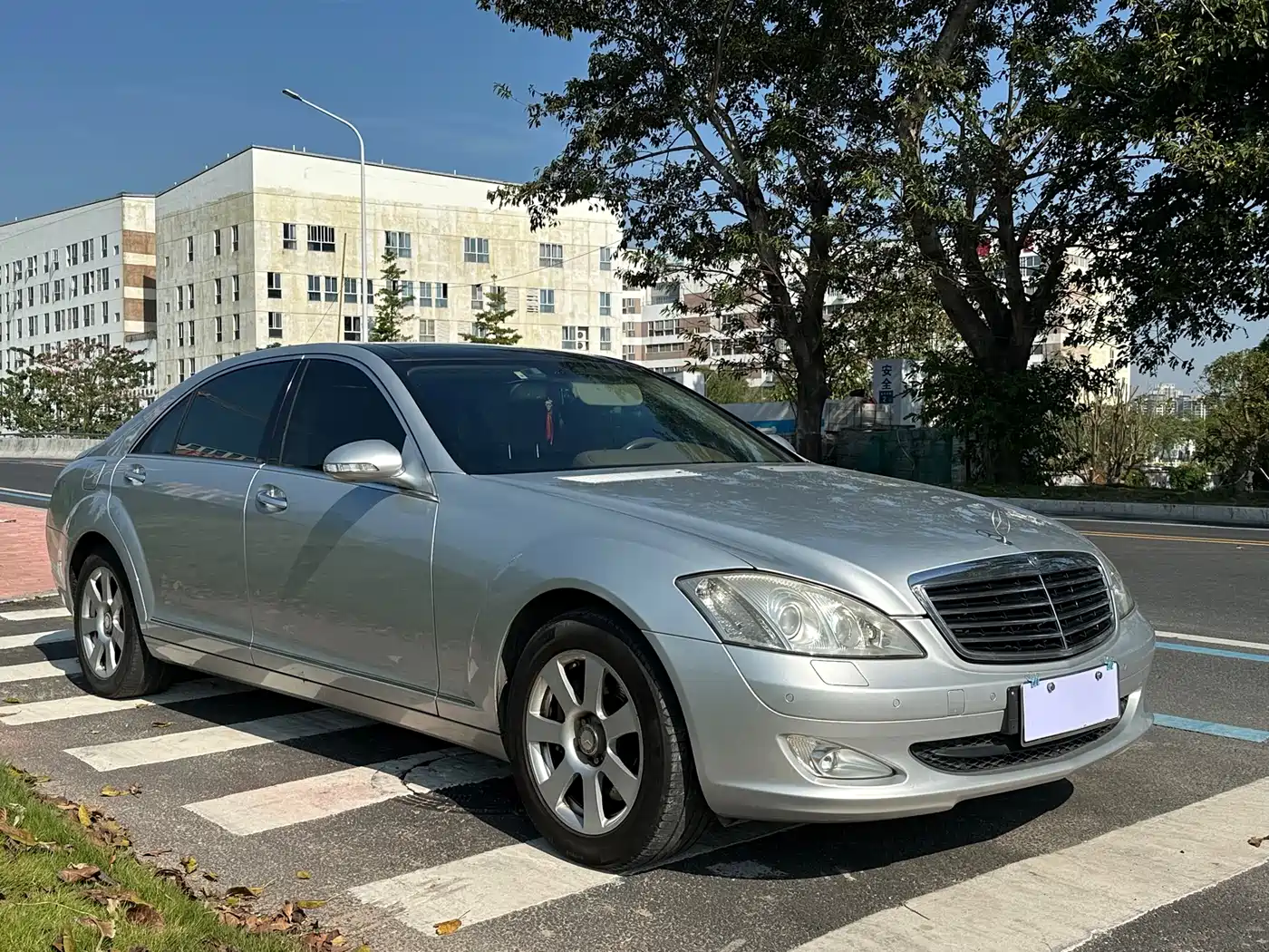 Mercedes-Benz S-Class 2008 S 300 L Premium фото 4