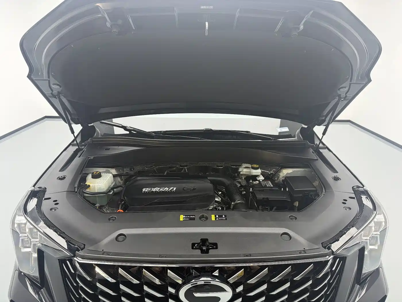 GAC Trumpchi Trumpchi GS8 2025 2025 Pilot Series 2.0TGDI 2WD Luxury Edition 5-seater