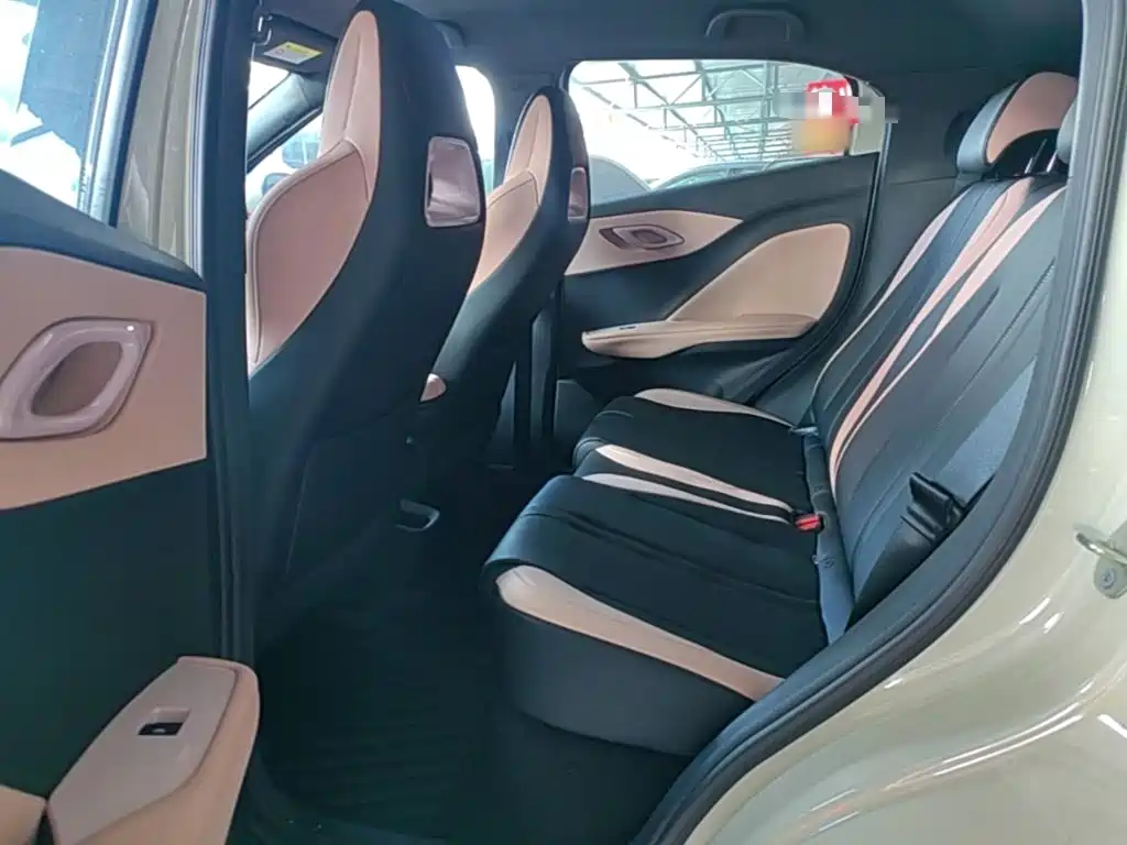 BYD Seagull 2026 2025 Smart Drive Edition 305km Vitality Version