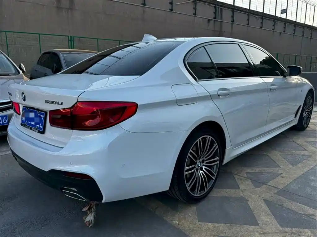 BMW 5 Series 2019 530Li Leading M Sport Package фото 3