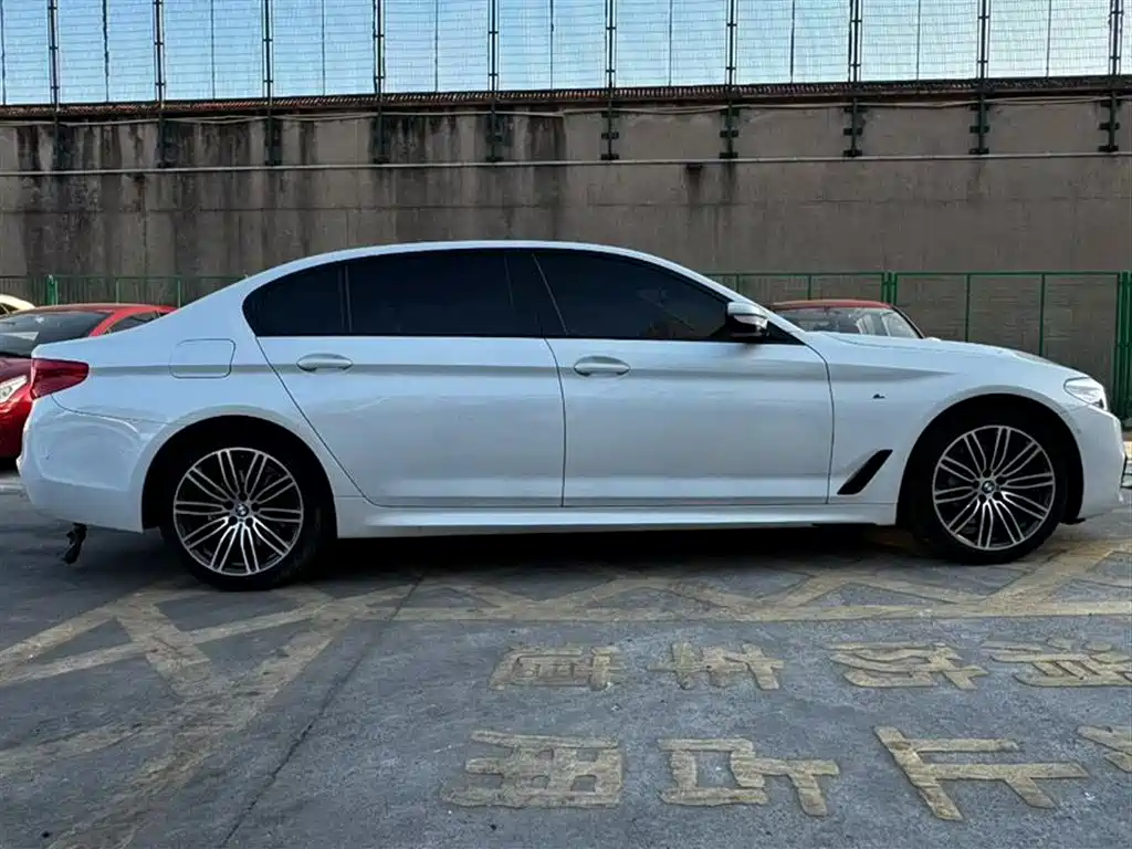 BMW 5 Series 2019 530Li Leading M Sport Package фото 5
