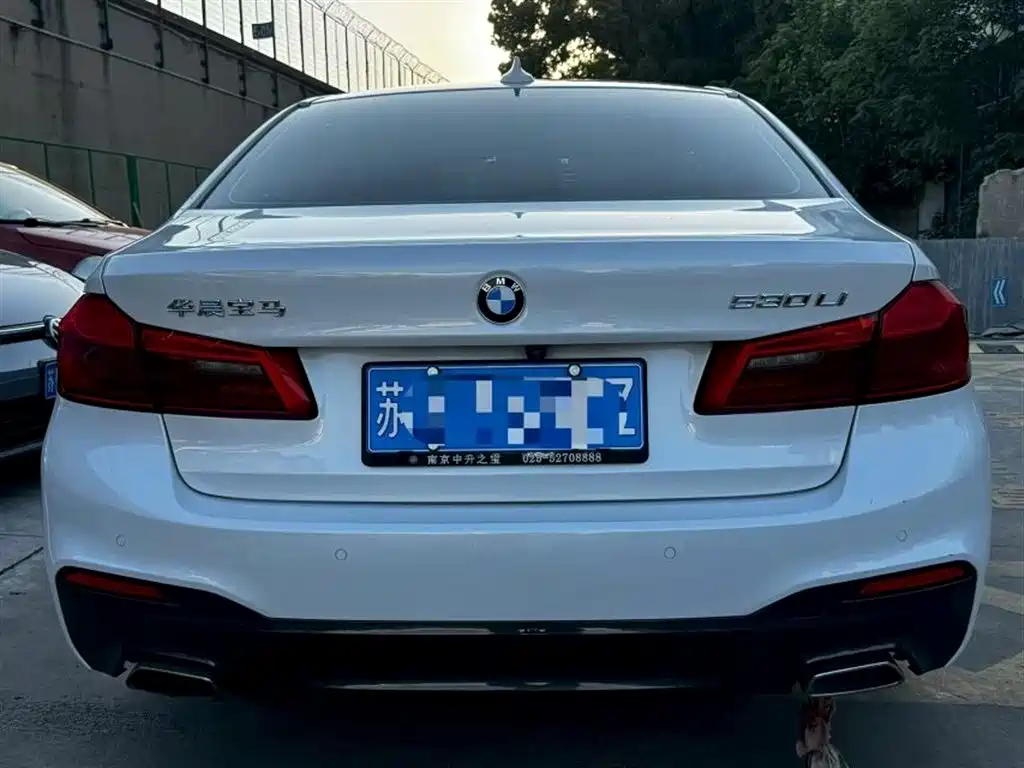 BMW 5 Series 2019 530Li Leading M Sport Package фото 8