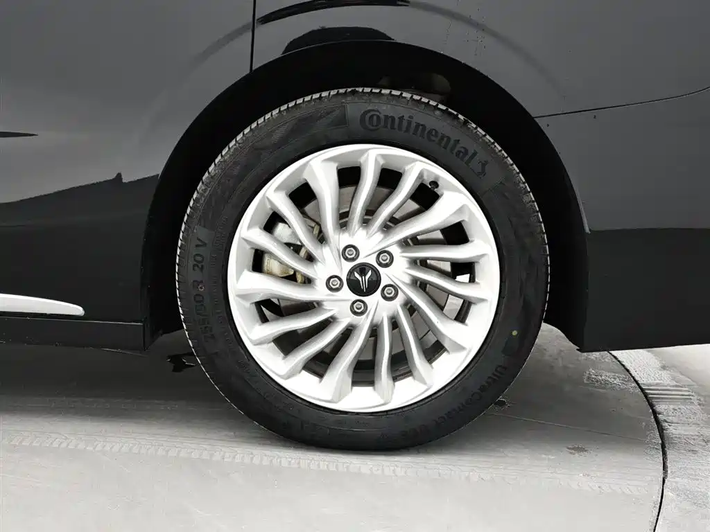 Voyah Auto Voyah Dreamer 2022 Low Carbon Edition Home фото 9