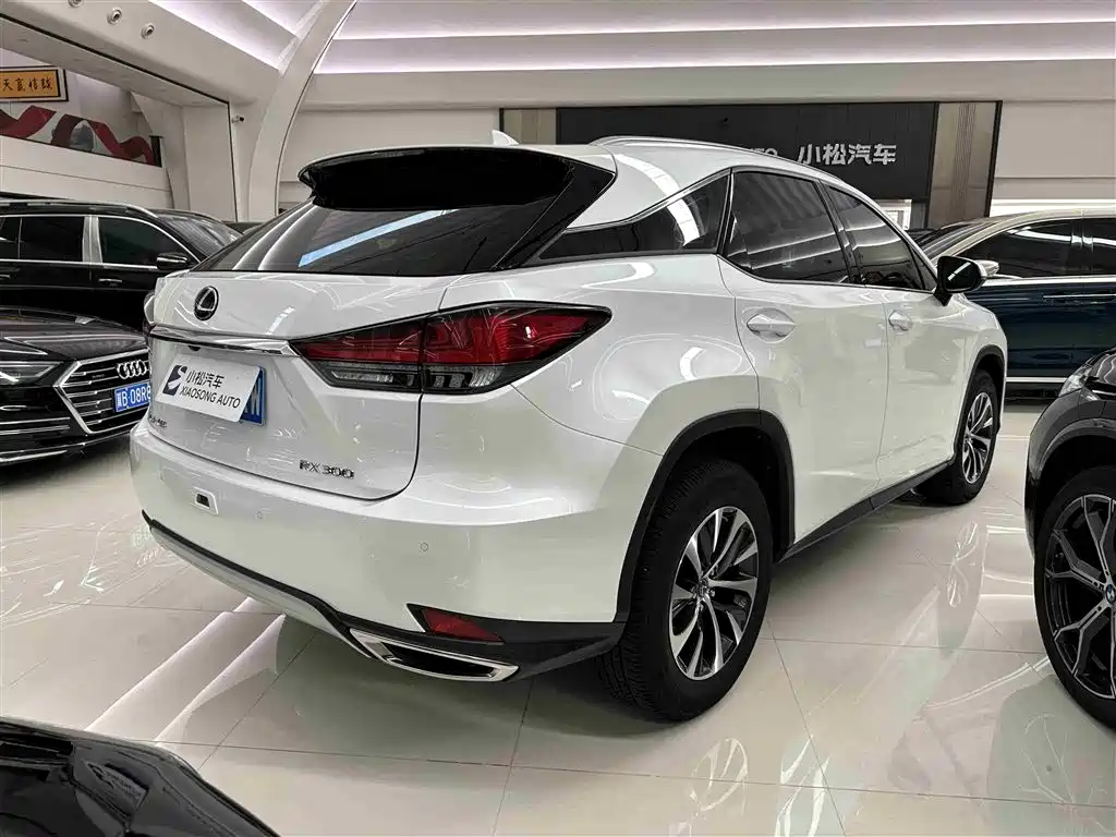Lexus RX 2020 Facelift 300 2WD Elite Edition фото 21