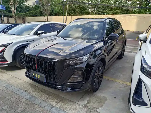  Hongqi Hongqi HS5 2025 2.0T AWD Mystic Shadow Edition