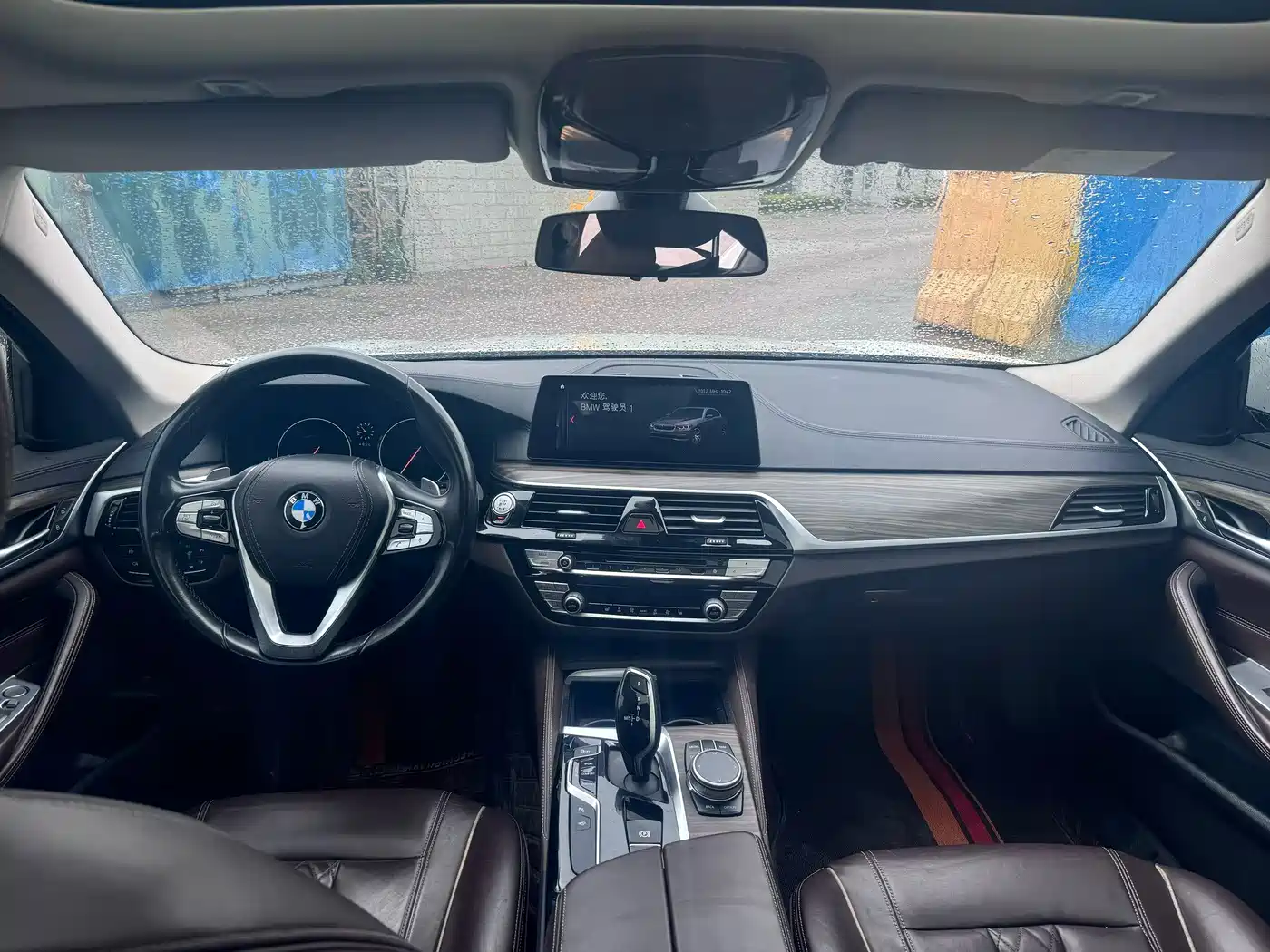 BMW 5 Series 2019 530Li Leading Luxury Package фото 5