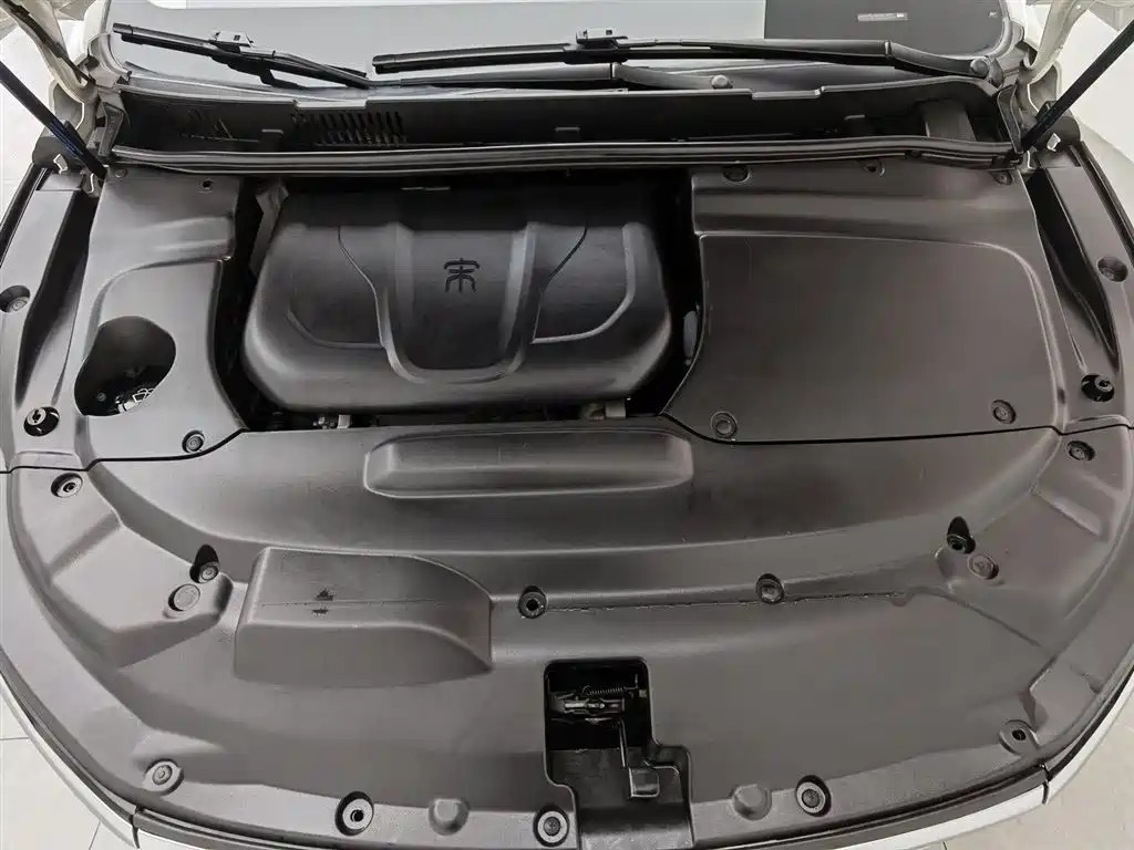 BYD Song MAX 2018 1.5T Automatic Smart Connected Premium 6-Seater фото 6