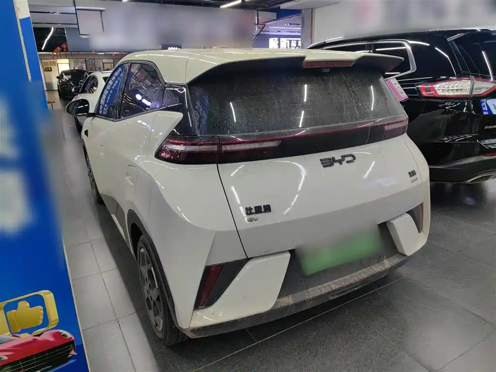 BYD Seagull 2025 Smart Drive Edition 305km Freedom Version фото 5