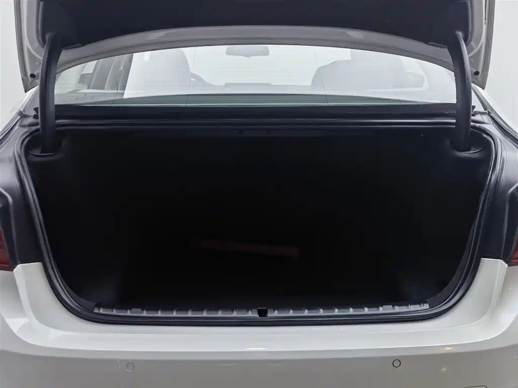 BMW 5 Series 2019 525Li Luxury Package фото 16