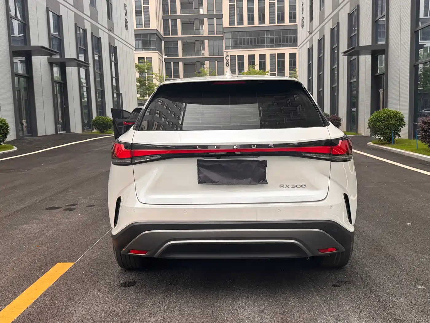 Lexus RX 2025 300 4WD Premium Edition фото 8