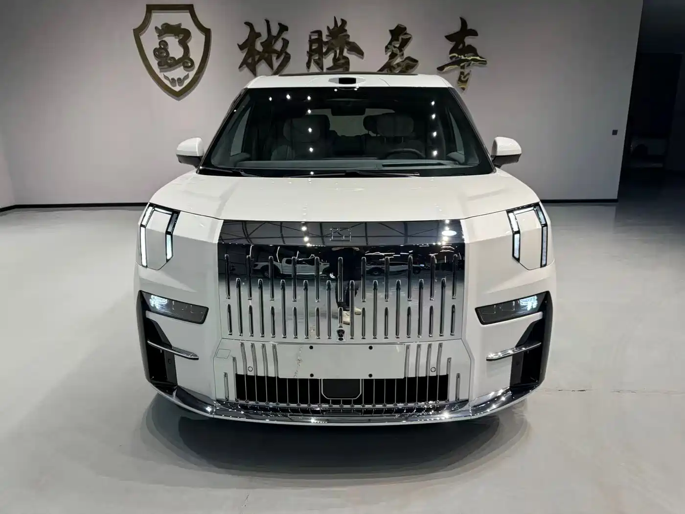 ZEEKR EXTREME KRYPTON 009