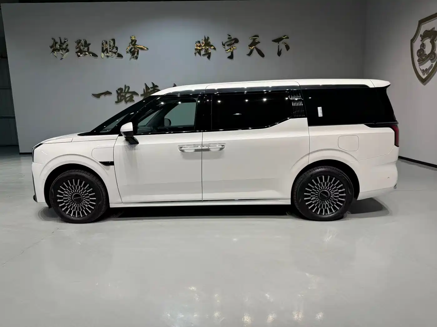 ZEEKR EXTREME KRYPTON 009