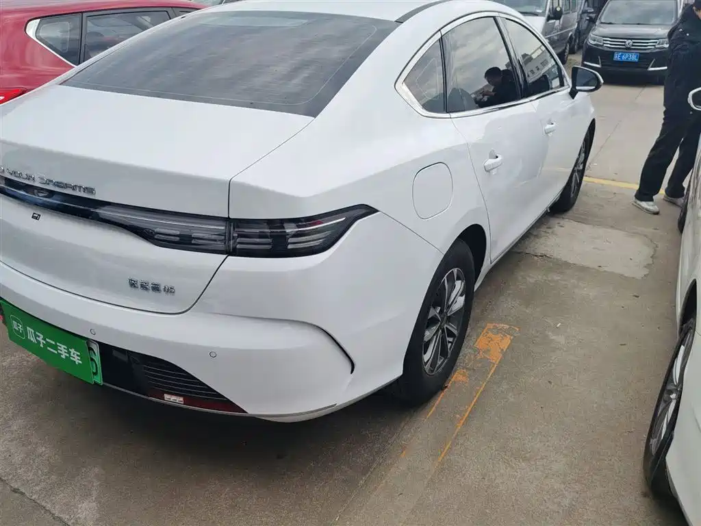 BYD Destroyer 05 2024 Glory Edition DM-i 55KM Luxury фото 8