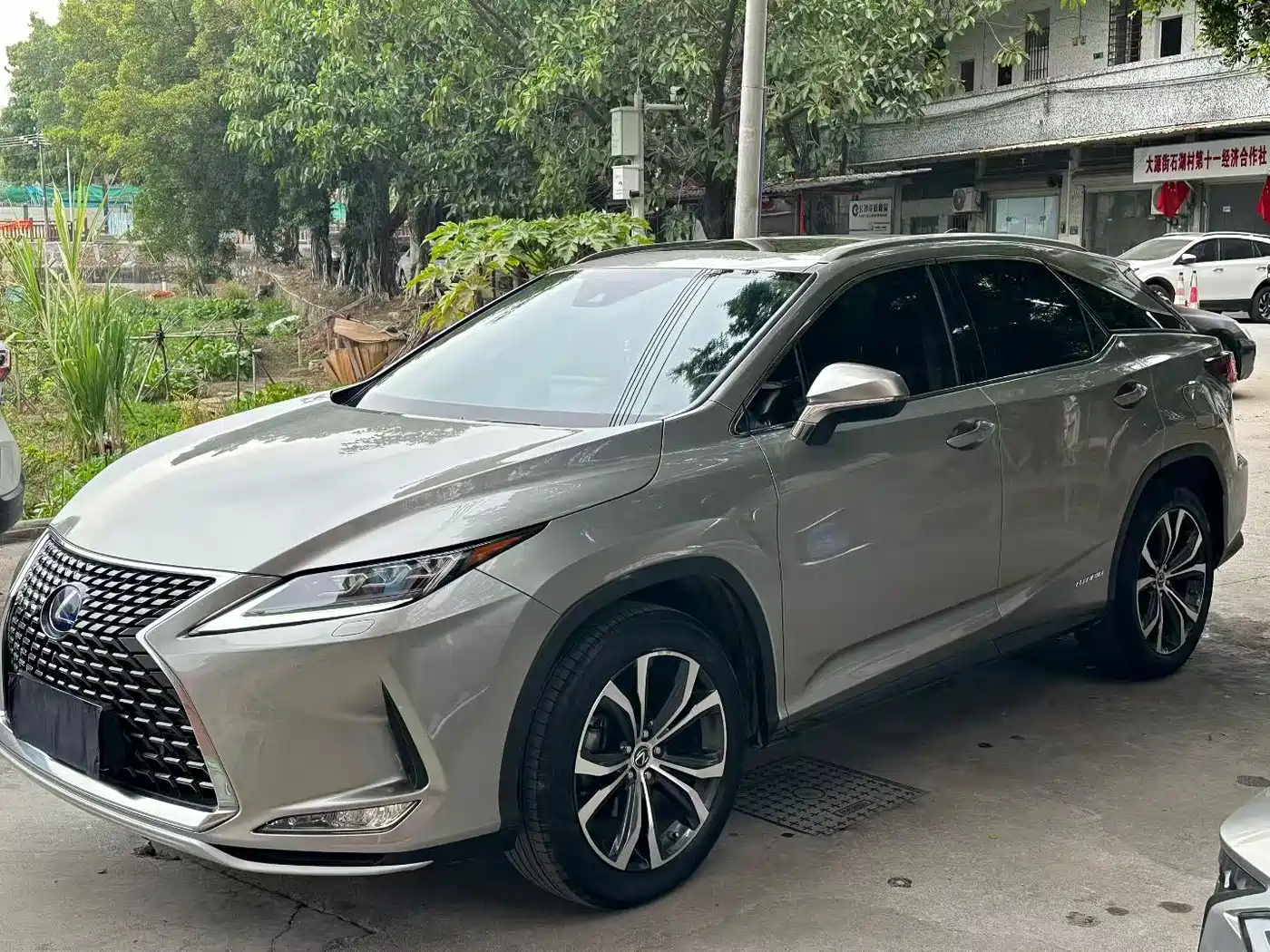 LEXUS RX