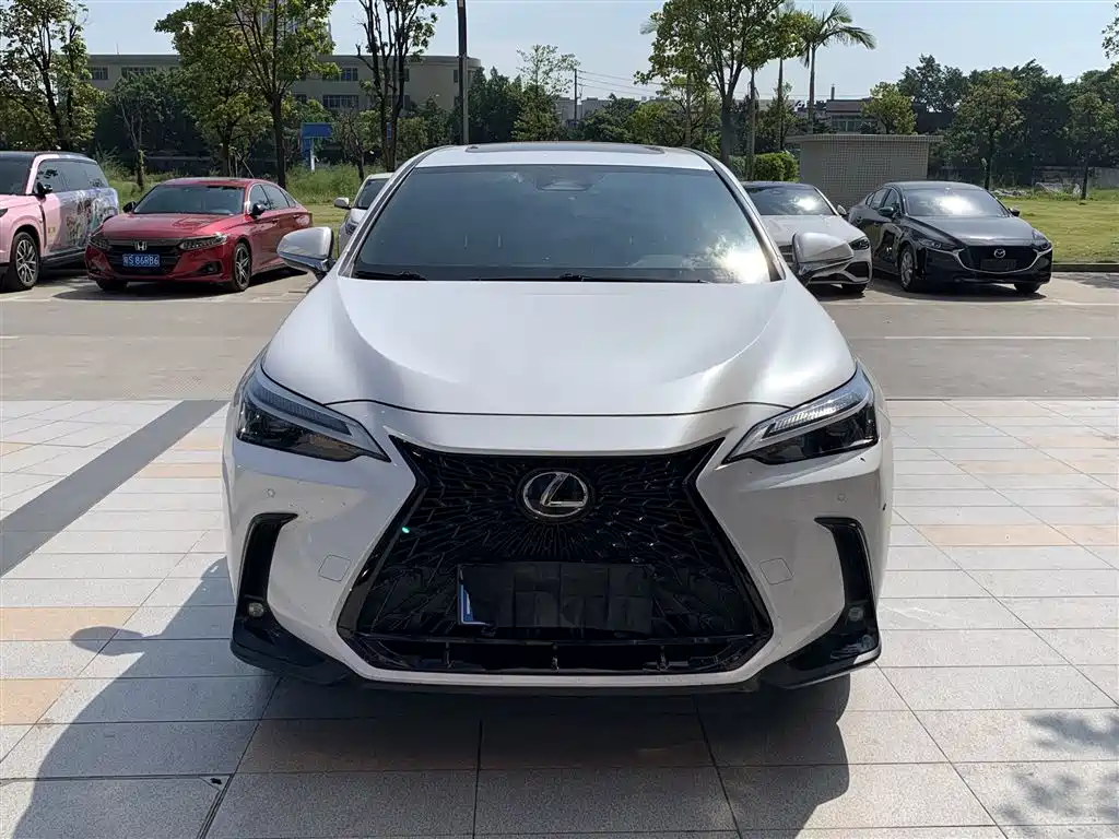 Lexus NX 2023 2022 260 FWD Joy Creation Edition