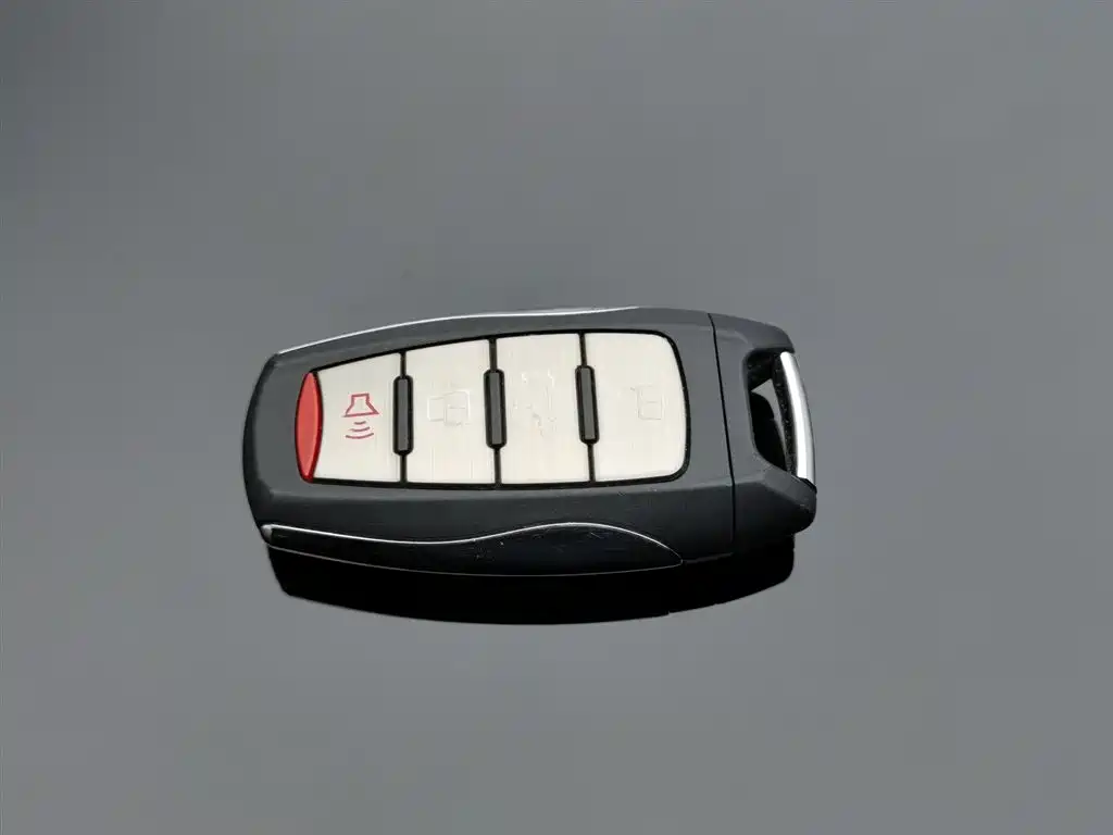 HAVAL BIG DOG
