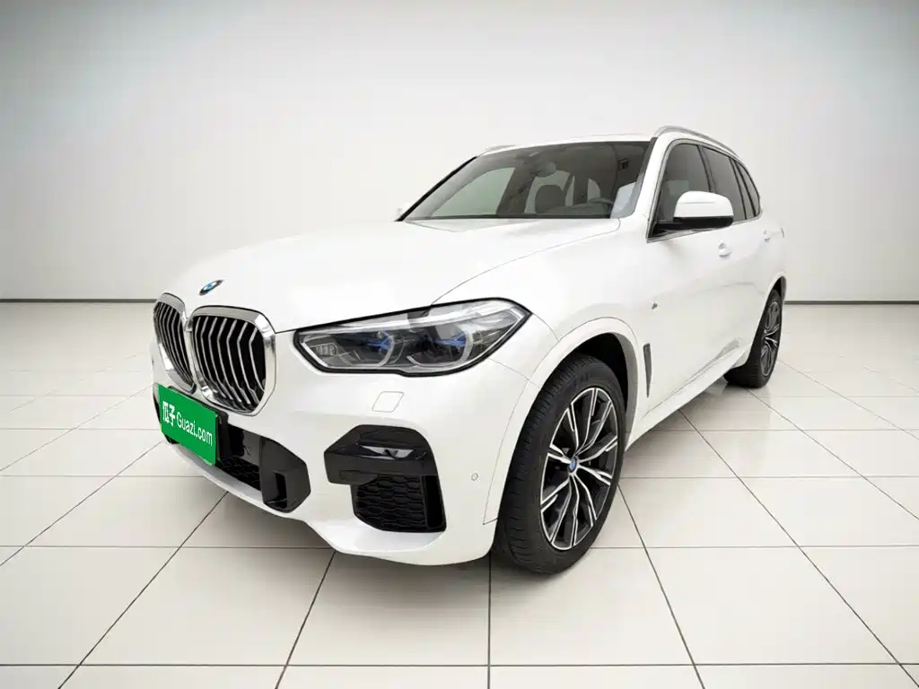 2022 BMW X5 (Import)