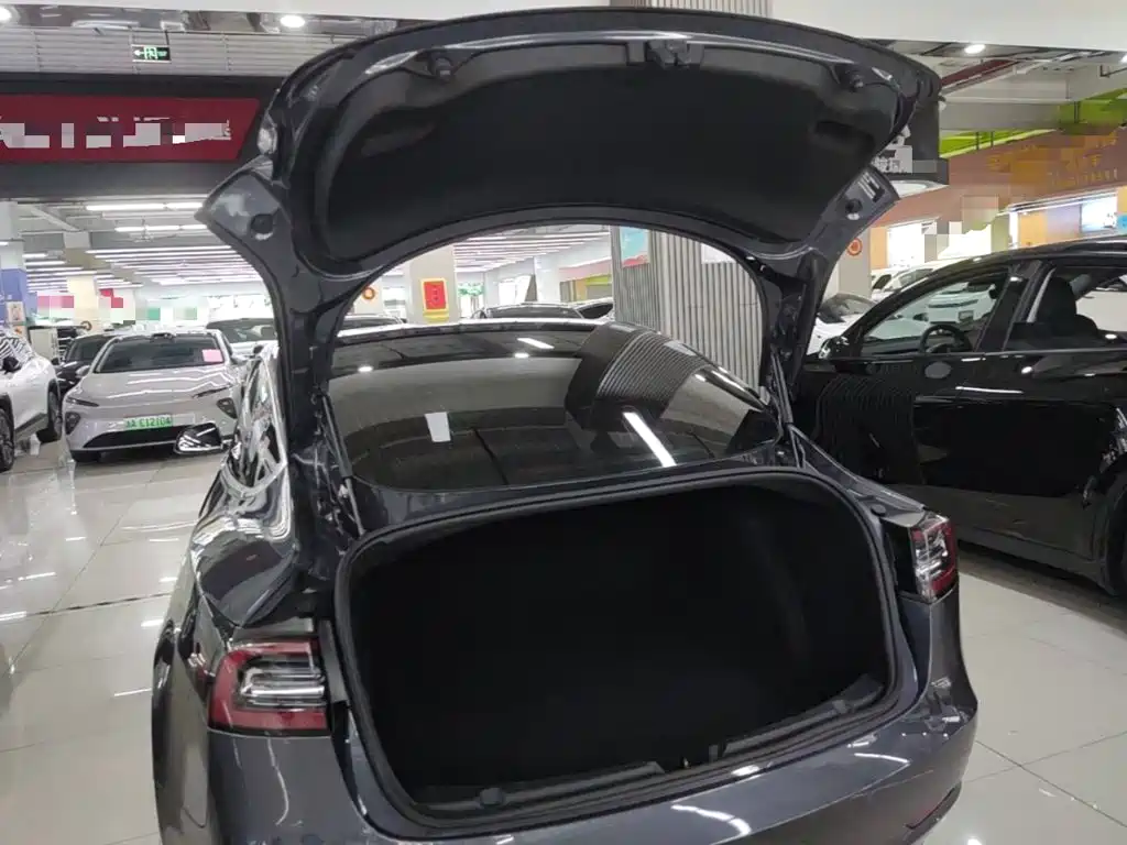 Tesla Model 3 2020 2020 Standard Range Rear-Wheel Drive Upgrade