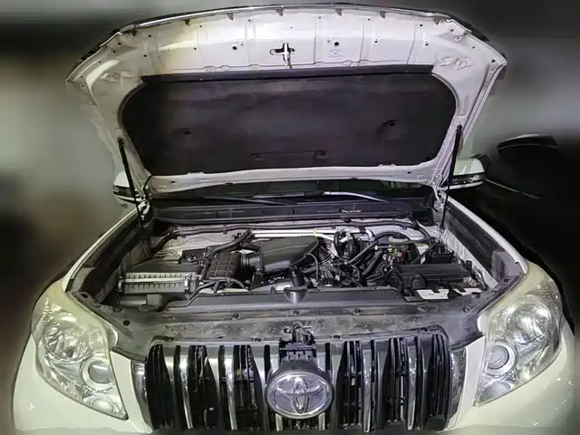 Toyota Prado (Import) 2010 2.7L Auto Luxury — фото 3