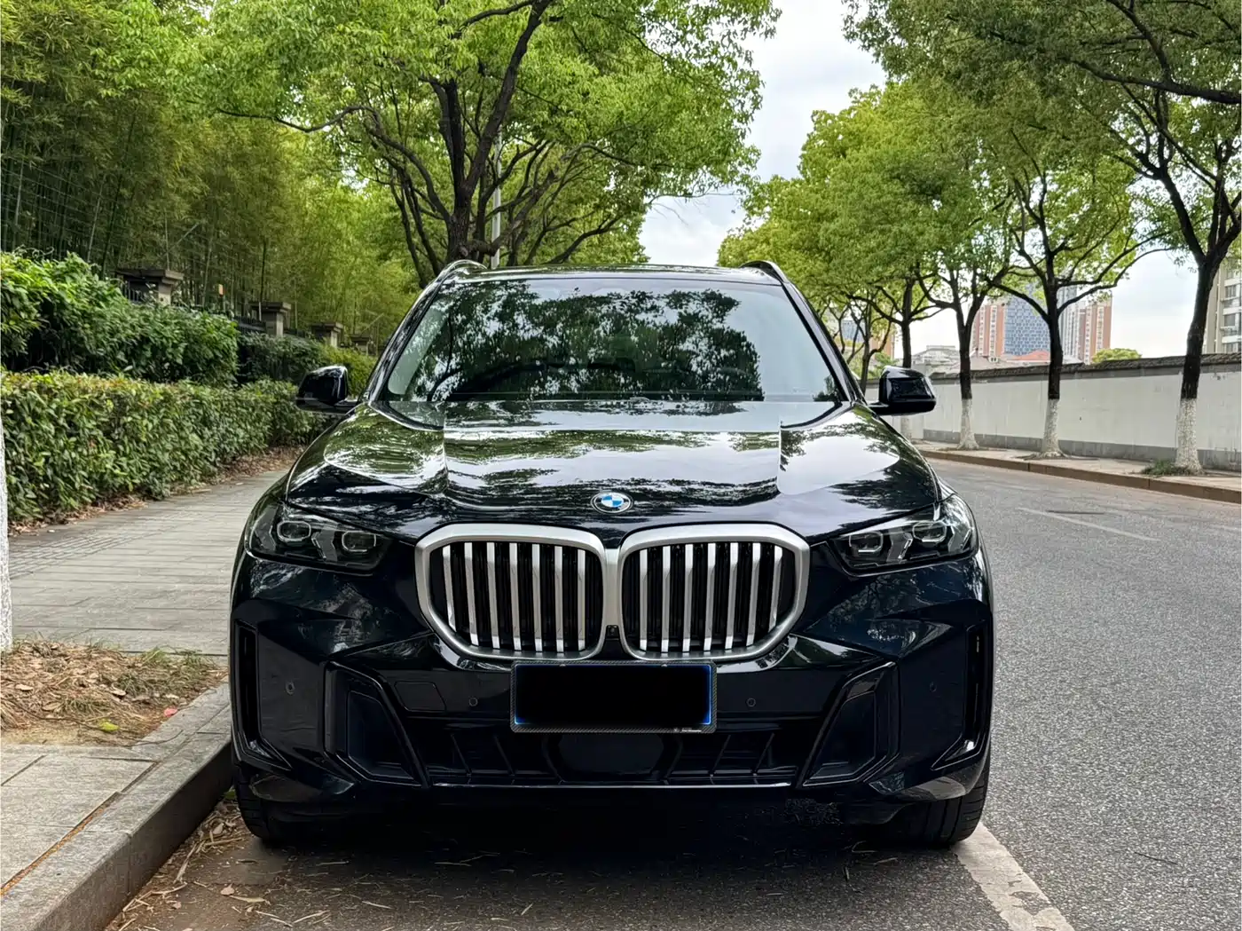 BMW X5 2023 xDrive 30Li Premium M Sport Package фото 2
